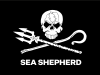 Stichting Sea Shepherd Nederland Logo